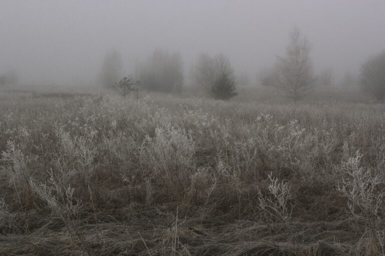 Latest Weather Update: Frost, Fog and Cold Conditions Continue Across South Africa